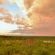 Victoria Falls Safari Lodge - 158265