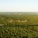 Victoria Falls Safari Lodge - 158273
