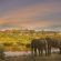 Victoria Falls Safari Lodge - 158281