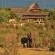 Victoria Falls Safari Lodge - 158283