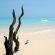 Medjumbe Island Resort