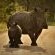 Lukimbi Safari Lodge - 158346