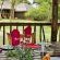 Idube Game Reserve - 158391