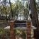 Woodland Gardens - 158643