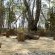 Woodland Gardens - 158644