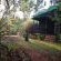 Ibis garden cottage