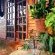 Loerie cottage entrance