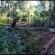 Woodland Gardens - 158779