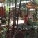 Oriole cottage, veranda deck has a gate