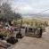 Thys'e Kombuis & Guest Lodge - 159320