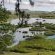 Penwarn Farm Lodge - 159636