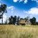 Penwarn Farm Lodge - 159637
