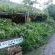 Tsitsikhaya Lodge - 159682