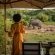 Makweti Safari Lodge - 159912