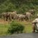 Makweti Safari Lodge - 159914