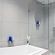Ellipse Executive Apartment - 159929
