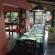 Umlilo Lodge - 160205