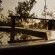 Edge of Eden - 160356