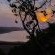 Edge of Eden - 160357