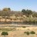 Sabie River Bush Lodge - 160373