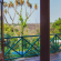 Cussonia Country Home - 160447