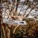 Linvale Country Lodge - 160536