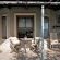 The Yard - 160778