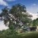 River Lodge - Lion Sands Game Reserve - 161455