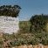 Vleidam Guest Farm - 161679