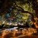 Tinga Lodge - Lion Sands Game Reserve - 161890