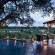 Tinga Lodge - Lion Sands Game Reserve - 161900