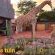The Angel River Villa - 162191