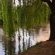 The Angel River Villa - 162193