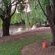 The Angel River Villa - 162196