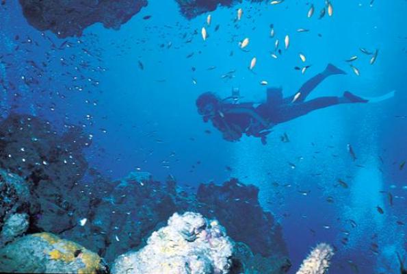 Scuba Diving
