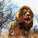 Tshukudu Bush Camp - 162428