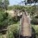 Tshukudu Bush Camp - 162430