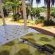 Chez Paddy - 162559