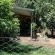 Peach Trees - 162573