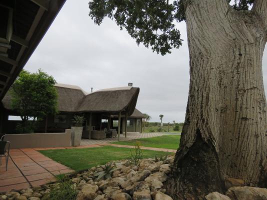 Longhill Lodge - 162655