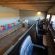 Antares Bush Camp & Safaris - 162912