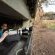 Antares Bush Camp & Safaris - 162915