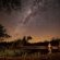 Antares Bush Camp & Safaris - 162923