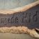 Antares Bush Camp & Safaris - 162924