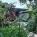 Elephant Walk Guesthouse - 163338