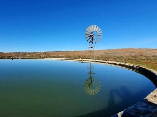 Karoo Rustigheid Gasteplaas - 163463