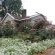 Notting Hill Lodge - 163704