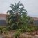 Boutique Hotel on the Bay - 163877