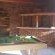 Thandamanzi Self-catering - 164216