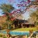 Phophonyane Falls Ecolodge and Nature Reserve - 164457